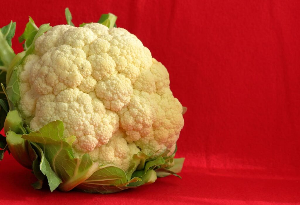 Close-up of a fresh cauliflower set against a bright red backdrop, highlighting its texture and color.